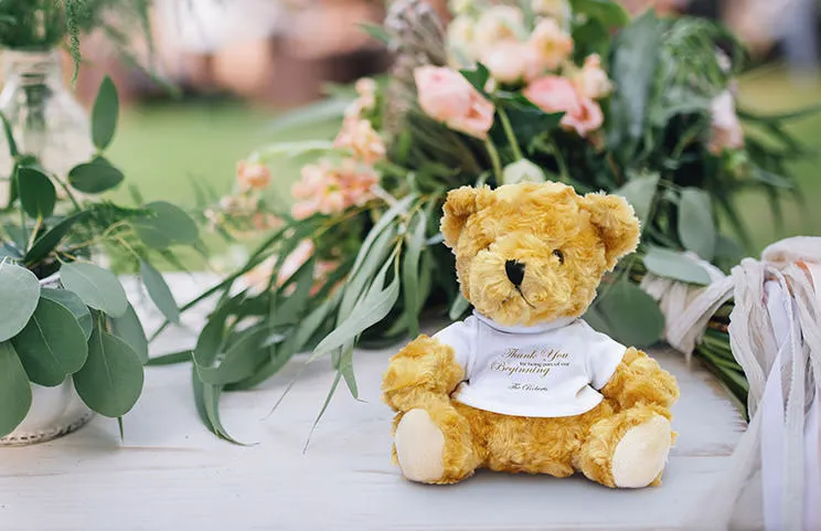 Foto Teddyberen