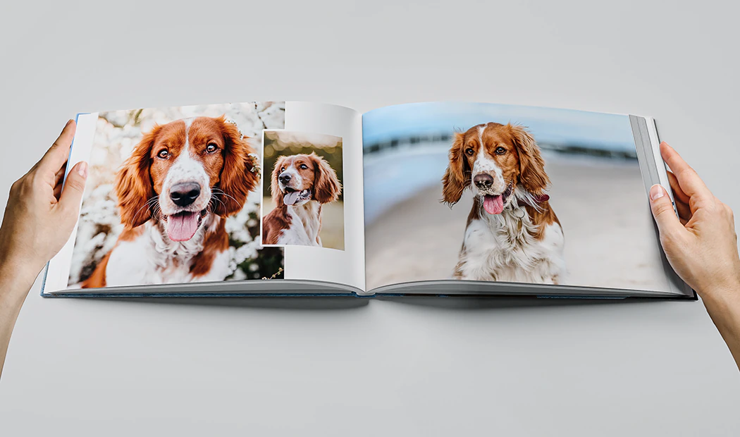 Grote Stoffen Fotoalbums|Grote Stoffen Fotoalbums|Grote Stoffen Fotoalbums|Grote Stoffen Fotoalbums|Grote Stoffen Fotoalbums|Grote Stoffen Fotoalbums|Grote Stoffen Fotoalbums|Grote Stoffen Fotoalbums|Grote Stoffen Fotoalbums||